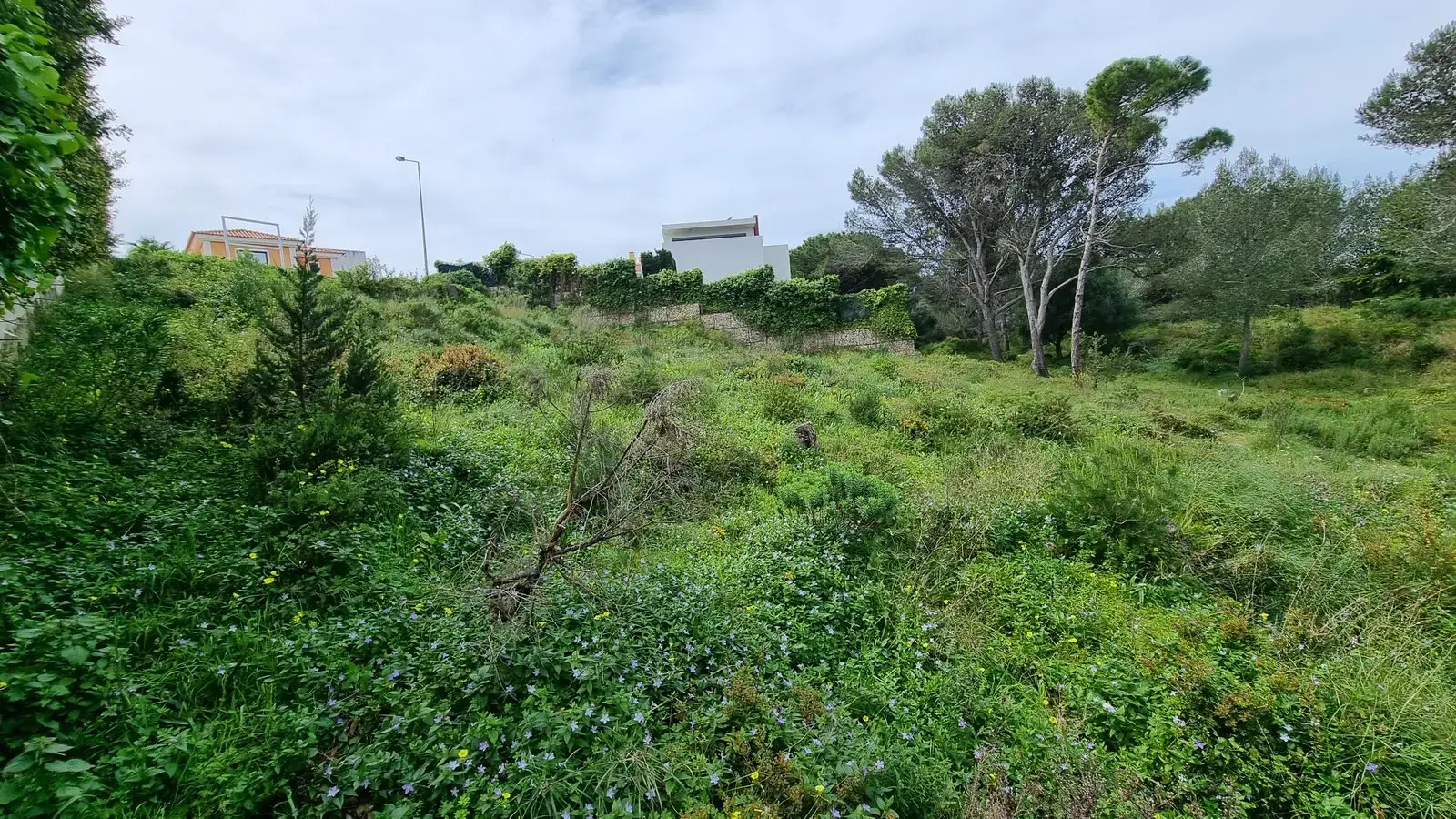 1,005 m² Plot of land in Cascais with approved Project — foto 2