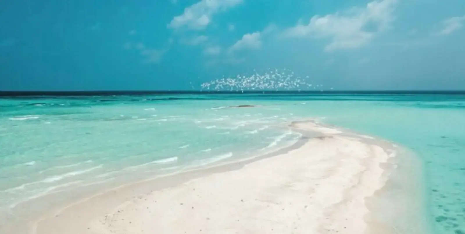 Branded 2-Bedroom Residences in the Maldives — foto 4