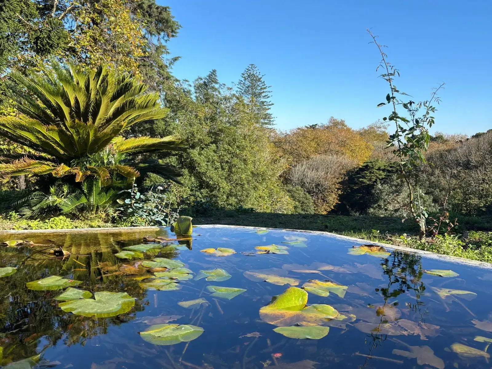 Historic Palace in Sintra: A Premium Investment Opportunity — foto 7